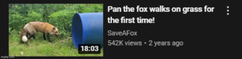 based Pan | image tagged in fox touches grass | made w/ Imgflip meme maker