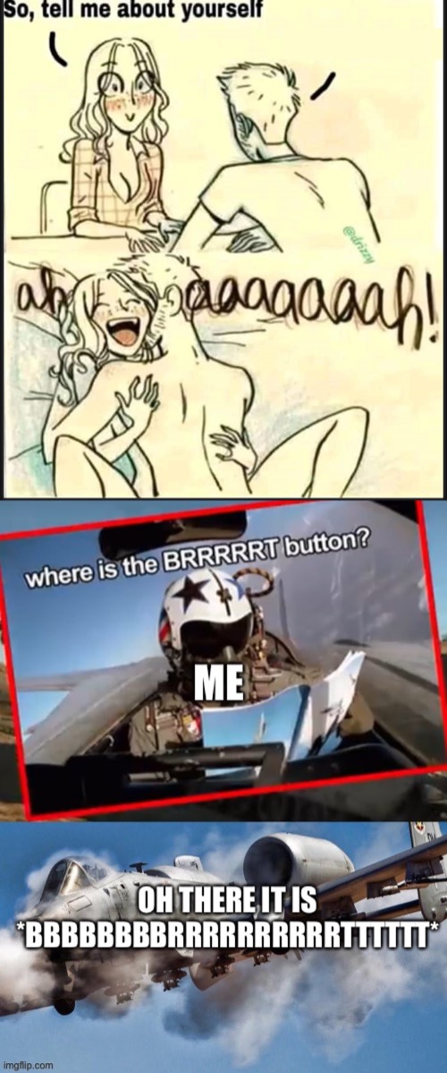 Just why | image tagged in tell me about yourself better,where brrt | made w/ Imgflip meme maker