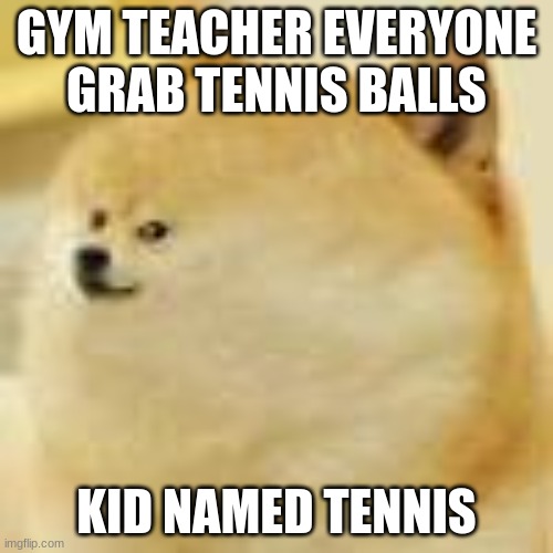 The meme of all memes  | GYM TEACHER EVERYONE GRAB TENNIS BALLS; KID NAMED TENNIS | image tagged in the meme of all memes | made w/ Imgflip meme maker