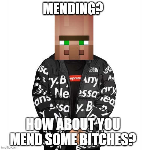 that one villager who doesn't have mending: | MENDING? HOW ABOUT YOU MEND SOME BITCHES? | image tagged in goku drip,minecraft,minecraft villagers | made w/ Imgflip meme maker