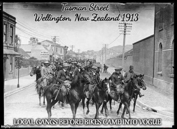 Gangs of New Zealand | image tagged in gangs,kiwis | made w/ Imgflip meme maker