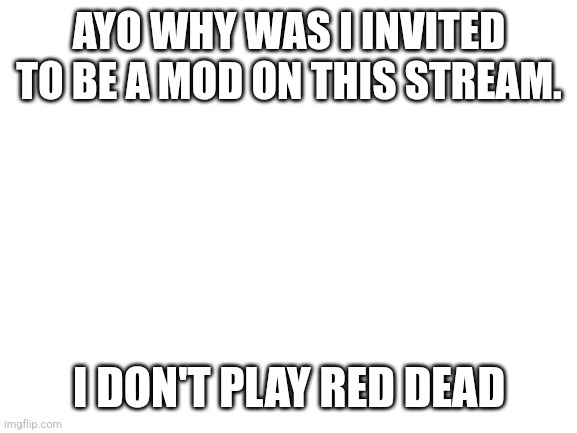 Blank White Template | AYO WHY WAS I INVITED TO BE A MOD ON THIS STREAM. I DON'T PLAY RED DEAD | image tagged in blank white template | made w/ Imgflip meme maker