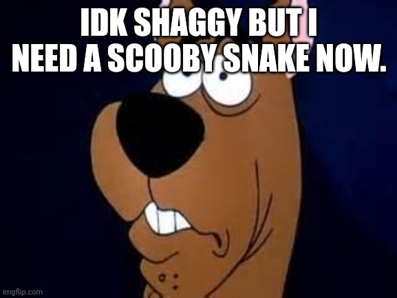 Scooby Doo Surprised | IDK SHAGGY BUT I NEED A SCOOBY SNAKE NOW. | image tagged in scooby doo surprised | made w/ Imgflip meme maker