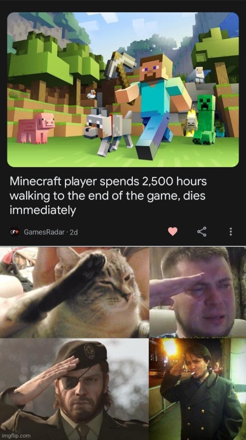 Man. | image tagged in ozon's salute,minecraft | made w/ Imgflip meme maker