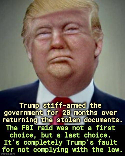 Trump had 20 months to comply with the law. He chose not to. Sneaky little son of a gun, ain't he? | Trump stiff-armed the 
government for 20 months over 
returning the stolen documents. The FBI raid was not a first 
choice, but a last choice. 
It's completely Trump's fault 
for not complying with the law. | image tagged in trump,return,stolen,papers,fbi | made w/ Imgflip meme maker