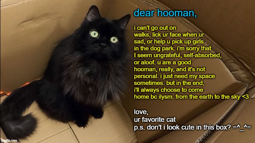 what we imagine cats are saying | i can't go out on walks, lick ur face when ur sad, or help u pick up girls in the dog park. i'm sorry that I seem ungrateful, self-absorbed, or aloof. u are a good hooman, really, and it's not personal. i just need my space sometimes. but in the end, i'll always choose to come home bc ilysm. from the earth to the sky <3; dear hooman, love,
ur favorite cat
p.s. don't i look cute in this box? =^_^= | image tagged in cats,human,pets | made w/ Imgflip meme maker