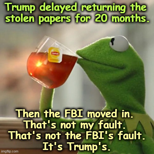 Trump makes his own trouble. | Trump delayed returning the 
stolen papers for 20 months. Then the FBI moved in. 
That's not my fault. 
That's not the FBI's fault.
It's Trump's. | image tagged in memes,but that's none of my business,kermit the frog | made w/ Imgflip meme maker