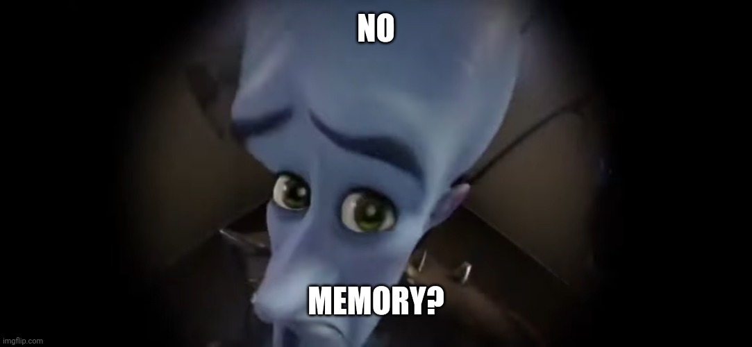 No ...? | NO MEMORY? | image tagged in no | made w/ Imgflip meme maker