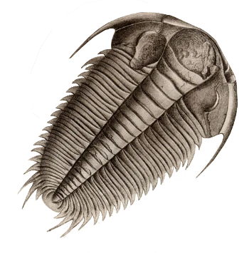 High Quality Brown-Gray Trilobite Blank Meme Template