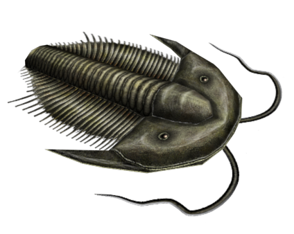 Grey-Green Trilobite Blank Meme Template