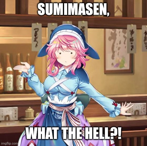 SUMIMASEN, WHAT THE HELL?! | image tagged in memes,touhou,bar | made w/ Imgflip meme maker