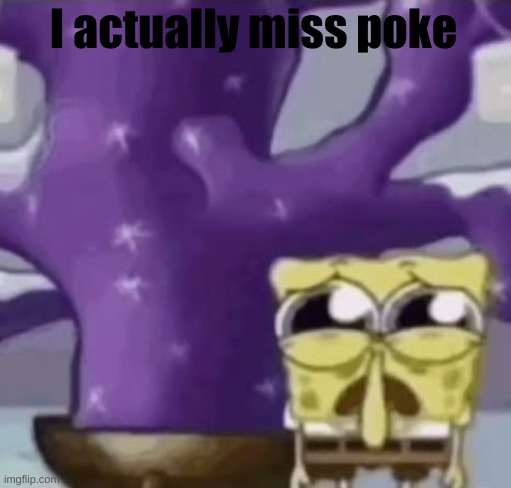 Zad Spunchbop | I actually miss poke | image tagged in zad spunchbop | made w/ Imgflip meme maker