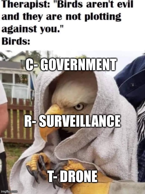 Devastating ’tac ad, recovery not possible | C- GOVERNMENT; R- SURVEILLANCE; T- DRONE | image tagged in birds are evil,crt,is,the,government surveillance drone,party | made w/ Imgflip meme maker