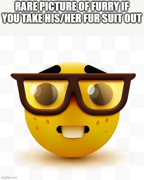 Nerd emoji | RARE PICTURE OF FURRY IF YOU TAKE HIS/HER FUR SUIT OUT | image tagged in nerd emoji | made w/ Imgflip meme maker