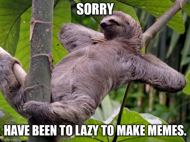 Sorry | SORRY; HAVE BEEN TO LAZY TO MAKE MEMES. | image tagged in lazy sloth | made w/ Imgflip meme maker