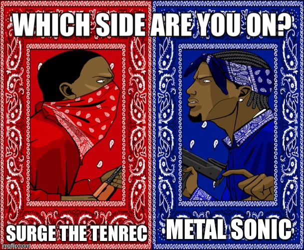 WHICH SIDE ARE YOU ON? | SURGE THE TENREC; METAL SONIC | image tagged in which side are you on,sonic the hedgehog,memes,funny,sonic,why are you reading this | made w/ Imgflip meme maker