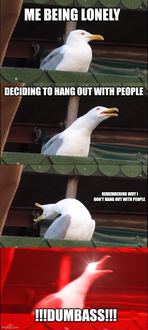Introvert Issue | ME BEING LONELY; DECIDING TO HANG OUT WITH PEOPLE; REMEMBERING WHY I DON'T HANG OUT WITH PEOPLE; !!!DUMBASS!!! | image tagged in memes,inhaling seagull | made w/ Imgflip meme maker
