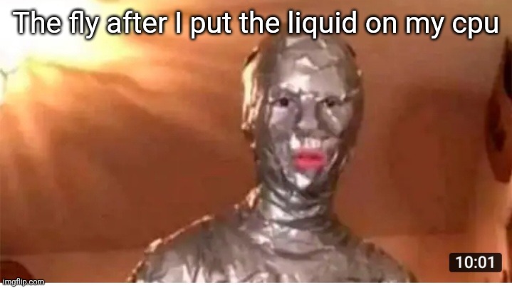 I mean it's true | The fly after I put the liquid on my cpu | image tagged in fly | made w/ Imgflip meme maker