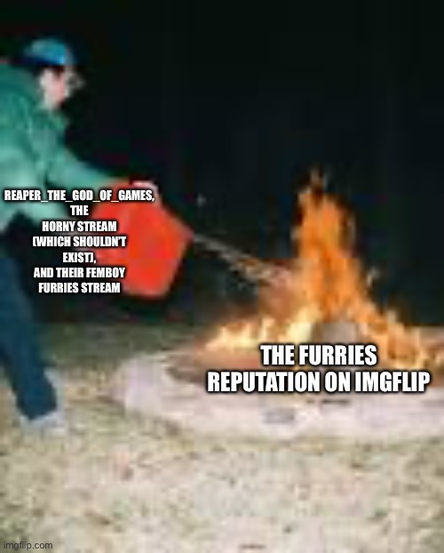 I honestly see why a lot of people have a problem with reaper, I have minimal interaction so I don’t see that side as much | REAPER_THE_GOD_OF_GAMES, THE HORNY STREAM (WHICH SHOULDN’T EXIST), AND THEIR FEMBOY FURRIES STREAM; THE FURRIES REPUTATION ON IMGFLIP | image tagged in adding fuel to the fire | made w/ Imgflip meme maker