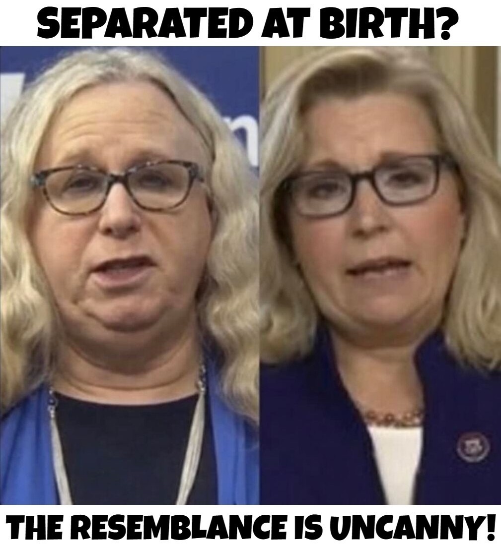 Separated at Birth? | image tagged in liz cheney,rachel levine,ugly twins | made w/ Imgflip meme maker