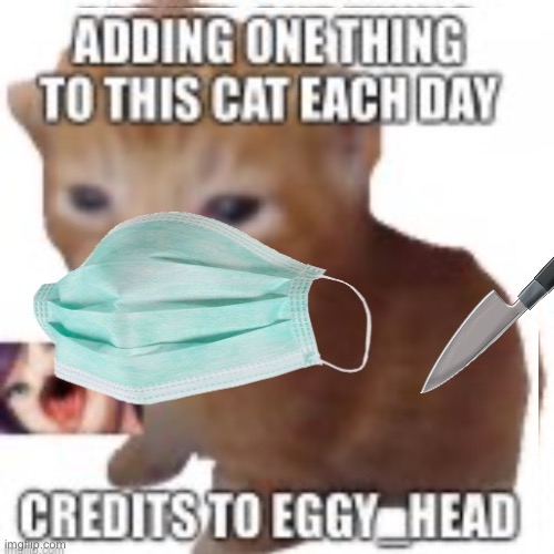 Day three of adding one thing to this cat each day | image tagged in credit to eggy_head | made w/ Imgflip meme maker