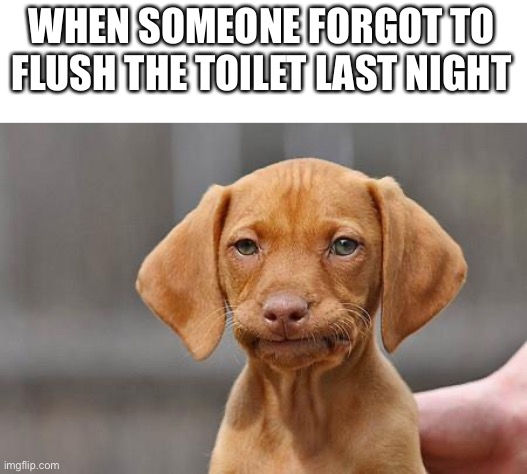 Am I the only one who deals with this??? | WHEN SOMEONE FORGOT TO FLUSH THE TOILET LAST NIGHT | image tagged in dissapointed puppy | made w/ Imgflip meme maker