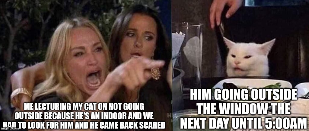 woman yelling at cat | ME LECTURING MY CAT ON NOT GOING OUTSIDE BECAUSE HE'S AN INDOOR AND WE HAD TO LOOK FOR HIM AND HE CAME BACK SCARED; HIM GOING OUTSIDE THE WINDOW THE NEXT DAY UNTIL 5:00AM | image tagged in woman yelling at cat | made w/ Imgflip meme maker