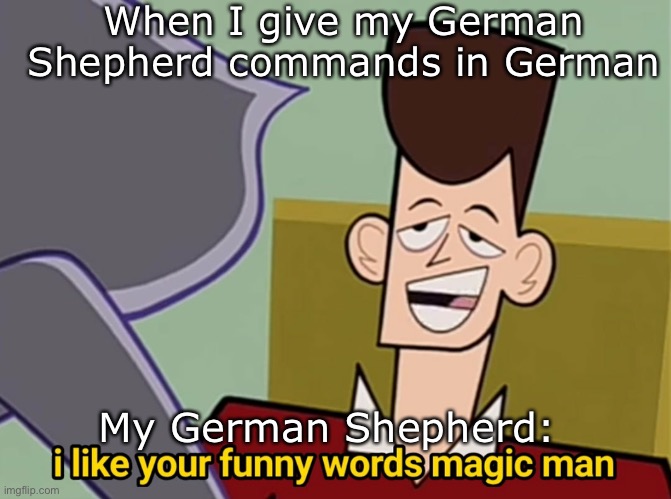 German Shepherd be like | When I give my German Shepherd commands in German; My German Shepherd: | image tagged in i like your funny words magic man,german,german shepherd | made w/ Imgflip meme maker