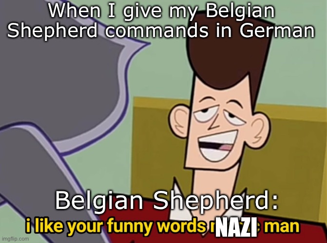 Resistance  Shepherd? | When I give my Belgian Shepherd commands in German; Belgian Shepherd:; NAZI | image tagged in i like your funny words magic man,dog,belgian shepherd,words,german,belgium | made w/ Imgflip meme maker