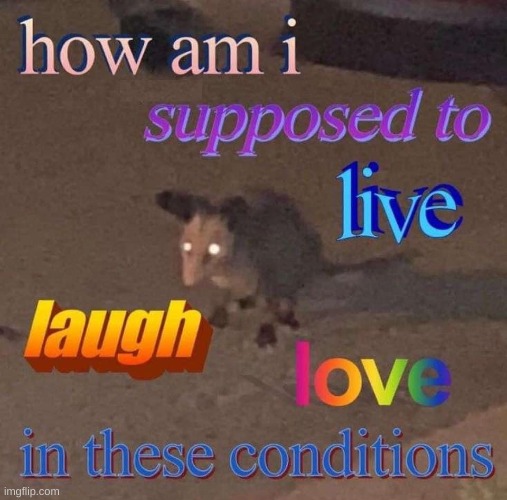 How am I supposed to live laugh love in these conditions | image tagged in how am i supposed to live laugh love in these conditions | made w/ Imgflip meme maker