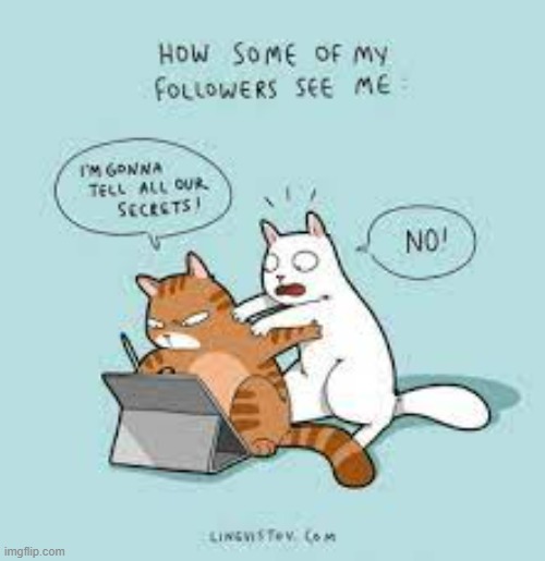 A Cat's Way Of Thinking | image tagged in memes,comics,cats,followers,no,that's my secret | made w/ Imgflip meme maker