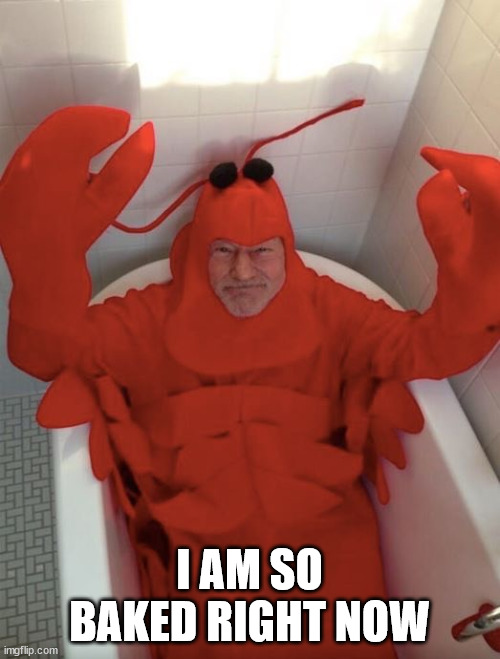 Patrick Stewart Lobster | I AM SO BAKED RIGHT NOW | image tagged in patrick stewart lobster | made w/ Imgflip meme maker