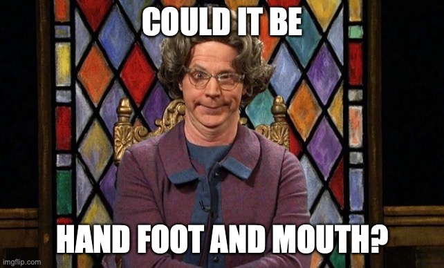 Could it be... SATAN! | COULD IT BE HAND FOOT AND MOUTH? | image tagged in could it be satan | made w/ Imgflip meme maker