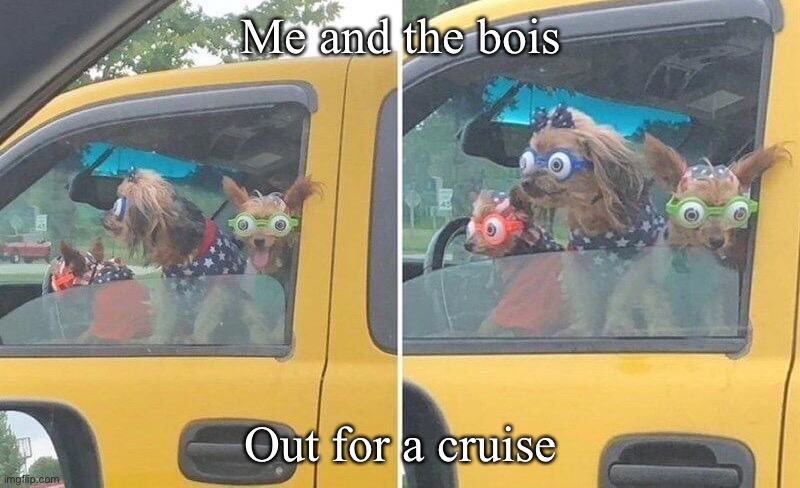 Cruizin’ | Me and the bois; Out for a cruise | image tagged in cruise,boys,car | made w/ Imgflip meme maker