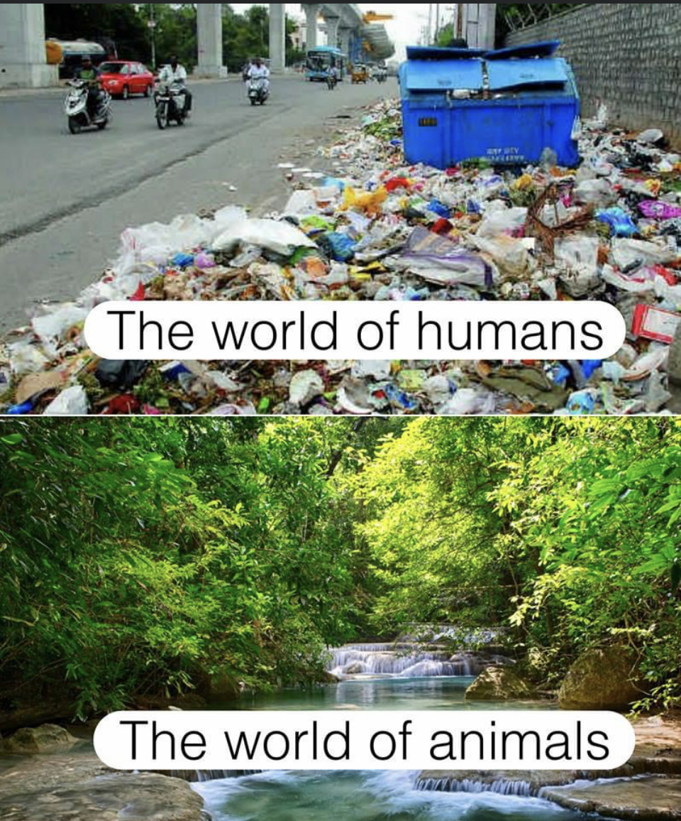 Two worlds Blank Meme Template