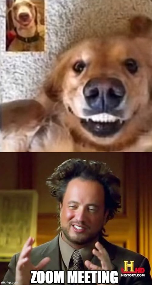 ZOOM MEETING | image tagged in memes,ancient aliens | made w/ Imgflip meme maker