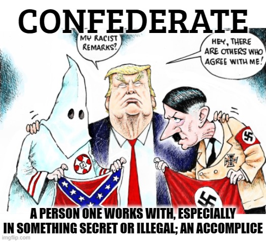 CONFEDERATE | CONFEDERATE; A PERSON ONE WORKS WITH, ESPECIALLY IN SOMETHING SECRET OR ILLEGAL; AN ACCOMPLICE | image tagged in confederate,illegal,secret,accomplice,helper,accessory | made w/ Imgflip meme maker