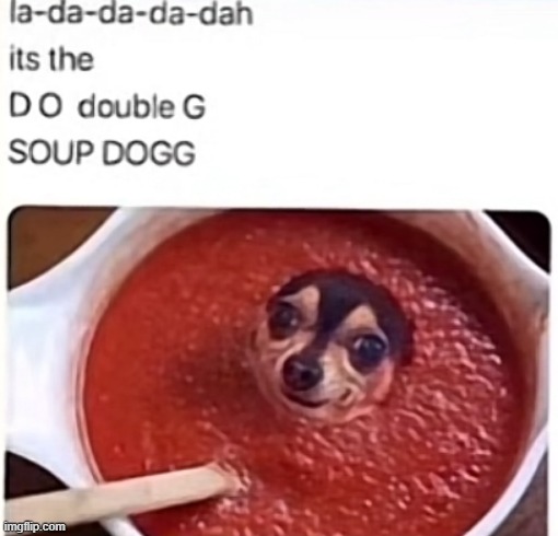 image tagged in memes | made w/ Imgflip meme maker