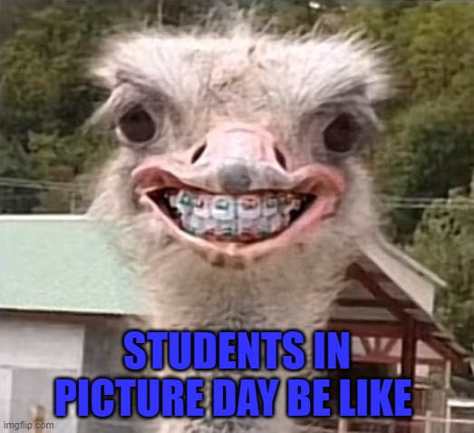 STUDENTS IN PICTURE DAY BE LIKE | image tagged in middle school | made w/ Imgflip meme maker