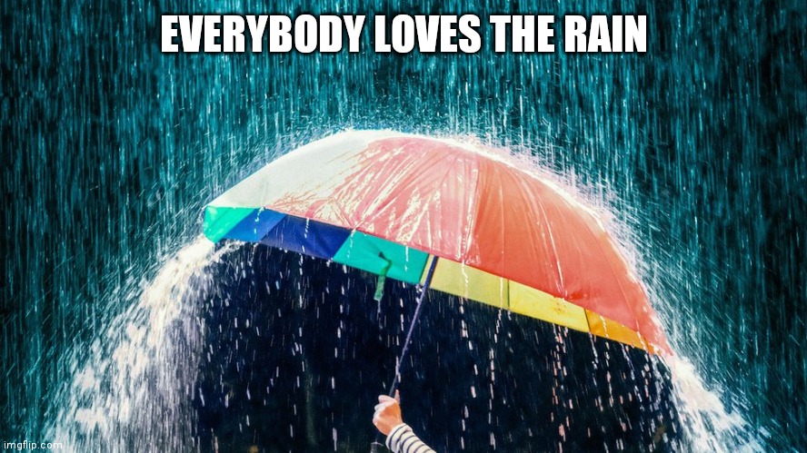 Frolicking In The Rain | EVERYBODY LOVES THE RAIN | image tagged in rain is life,children,adults,we all have done it,let go,of hate | made w/ Imgflip meme maker