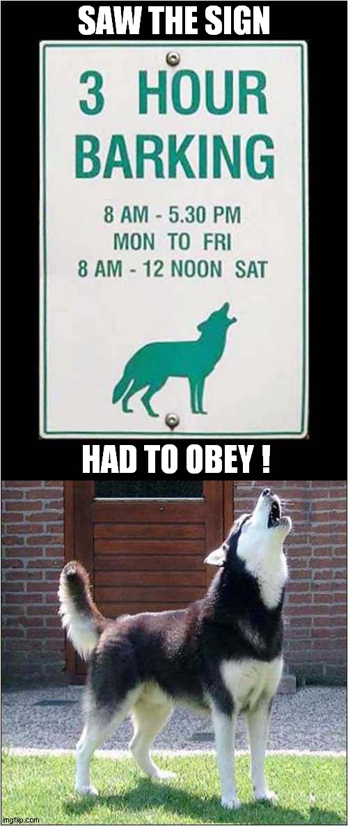 One Happy Husky ! | SAW THE SIGN; HAD TO OBEY ! | image tagged in dogs,husky,sign,barking | made w/ Imgflip meme maker