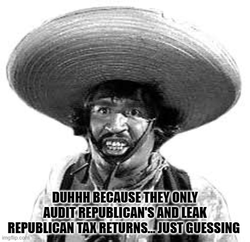 Badges we dont need no stinking badges | DUHHH BECAUSE THEY ONLY AUDIT REPUBLICAN'S AND LEAK REPUBLICAN TAX RETURNS... JUST GUESSING | image tagged in badges we dont need no stinking badges | made w/ Imgflip meme maker