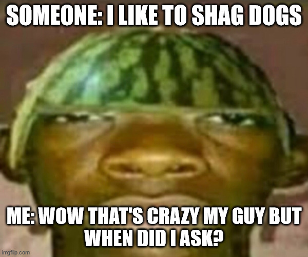 Wow that’s crazy my guy but when did I ask | SOMEONE: I LIKE TO SHAG DOGS; ME: WOW THAT'S CRAZY MY GUY BUT
WHEN DID I ASK? | image tagged in wow that s crazy my guy but when did i ask | made w/ Imgflip meme maker