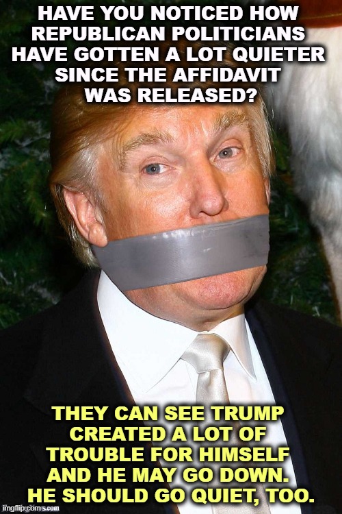 It's the smart thing to do, but he'll never do it. | HAVE YOU NOTICED HOW 
REPUBLICAN POLITICIANS 
HAVE GOTTEN A LOT QUIETER 
SINCE THE AFFIDAVIT 
WAS RELEASED? THEY CAN SEE TRUMP 
CREATED A LOT OF 
TROUBLE FOR HIMSELF 
AND HE MAY GO DOWN. 
HE SHOULD GO QUIET, TOO. | image tagged in trump mouth tape gag,republican,politicians,quiet,trump,big trouble | made w/ Imgflip meme maker
