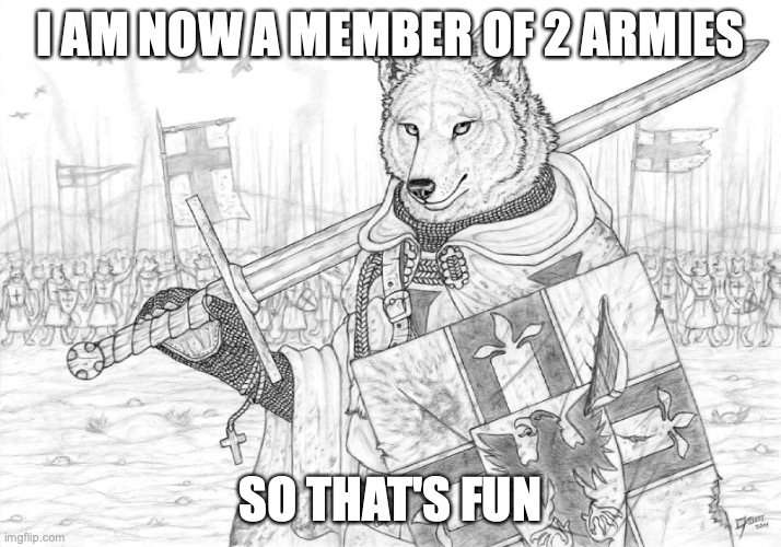 everyone get over here | I AM NOW A MEMBER OF 2 ARMIES; SO THAT'S FUN | image tagged in fursader | made w/ Imgflip meme maker
