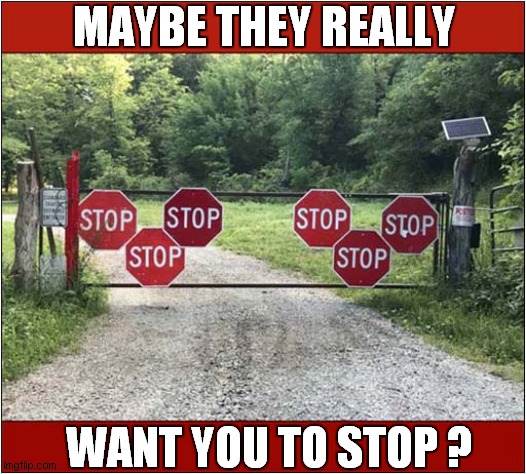STOP ! | MAYBE THEY REALLY; WANT YOU TO STOP ? | image tagged in fun,stop,stop sign | made w/ Imgflip meme maker