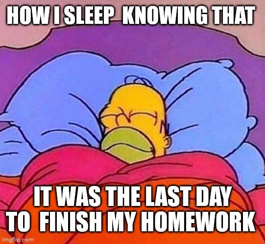 Homer Simpson sleeping peacefully | HOW I SLEEP  KNOWING THAT; IT WAS THE LAST DAY TO  FINISH MY HOMEWORK | image tagged in homer simpson sleeping peacefully | made w/ Imgflip meme maker