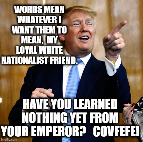 Donal Trump Birthday | WORDS MEAN WHATEVER I WANT THEM TO MEAN,  MY LOYAL WHITE NATIONALIST FRIEND. HAVE YOU LEARNED NOTHING YET FROM YOUR EMPEROR?   COVFEFE! | image tagged in donal trump birthday | made w/ Imgflip meme maker