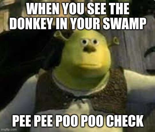 pee pee poo poo check | WHEN YOU SEE THE DONKEY IN YOUR SWAMP; PEE PEE POO POO CHECK | image tagged in funny,shrek,swamp | made w/ Imgflip meme maker