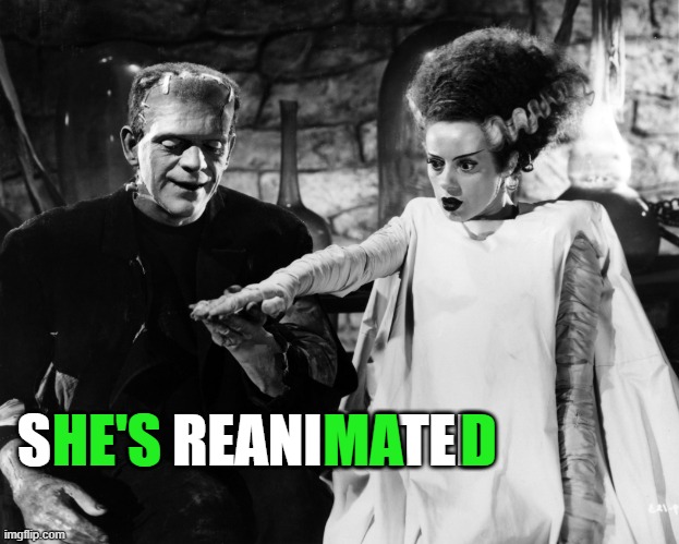 s(HE'S) Reani(MA)te(D) | SHE'S REANIMATED; HE'S              MA     D | image tagged in bride of frankenstein | made w/ Imgflip meme maker